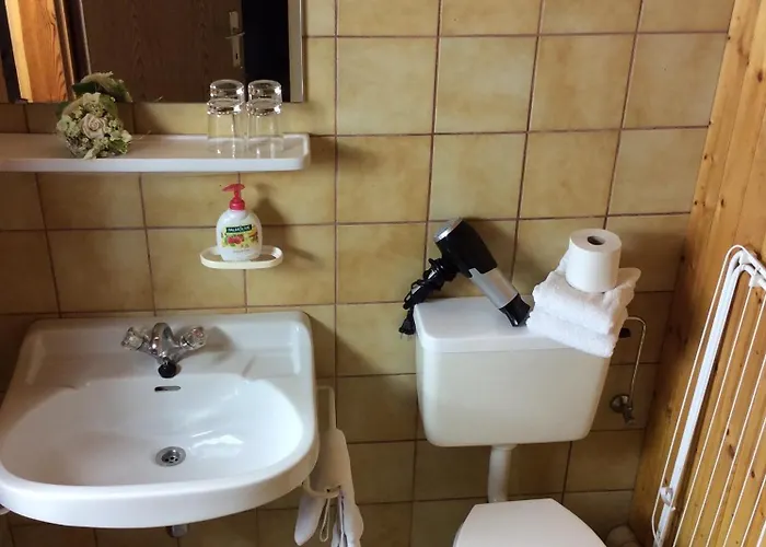 Gadenstaetter In Der Appartement Zell am See